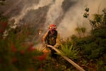 A firefighter sets up a hose while fighting the Palisades Fire in Mandeville Canyon on Saturday, Jan. 11, 2025, in Los Angeles.