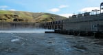 FILE - Water moves through a spillway of the Lower Granite Dam on the Snake River near Almota, Wash., April 11, 2018.