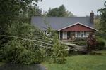 A downed tree from Post-Tropical Storm Fiona sits in the front yard of a home on Sept. 24 in Irish Cove, Nova Scotia on Cape Breton Island in Canada.