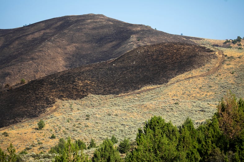 A stark line between burned and unburned land on the hills surrounding Rye Valley.