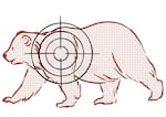 Illustration of a grizzly bear with a hunting sight layered over its body.