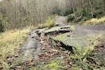 Landslides have plagued the Cape Meares Loop Road for decades. An abandoned stretch of road near Cape Meares on Nov. 13, 2024.