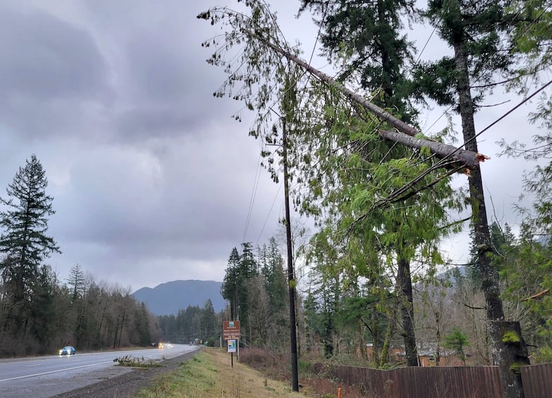 A tree hangs suspended from a powerline near the Zig Zag ranger station on U.S. Highway 26 on Dec. 17, 2025.