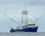 Capt. Hank Slavens was out to sea for three days aboard the Nedian fishing for salmon. He says he spent $1,500 on fuel and his earnings were slim.