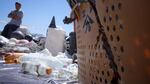 Gulf of Alaska Keeper Chris Pallister sits on some of the debris from the 2011 tsunami that struck Japan. One million pounds of the debris was barged to Seattle on July 7, 2015 after it was collected from the Alaskan coast. Pallister helped coordinate the cleanup.