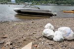 Four bags of white trash bags piled near the edge of the river.