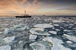 A fishing vessel working with NOAA Fisheries travels through lingering sea ice in the eastern Bering Sea.