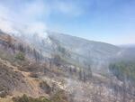 Smoke rises from a fire on Cougar Butte in southern Oregon. Fire managers declared a start to wildfire season in Oregon in early June 2017.