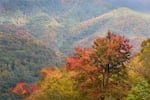 Fall scenery in the Great Smoky Mountains National Park.
