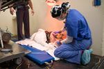 This photo released by Oregon State University shows Ella the potbellied pig, who had the first total ear canal removal in a pig performed to relieve her chronic ear infections.