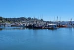 Vessels docked on the Newport Bayfront, near several commercial fishing businesses, as seen in July 2024.