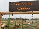 There are now nine reindeer at the Goldendale Reindeer Farm.