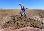 Oregon State University soil scientist Markus Kleber digs a pit in a crop field near Boardman in March to sample the soil and measure its carbon storage potential.