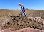 Oregon State University soil scientist Markus Kleber digs a pit in a crop field near Boardman in March 2023 to sample the soil and measure its carbon storage potential.