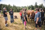 Kobe Norcross, 17, left, talks to John Spence while campers pet and brush Spence's horse, Koda, at Wellness Warrior Camp in Grand Ronde, Ore., Wednesday, June 26, 2019. Spence is trained in equine therapy and leads the connection to horses station at the camp.