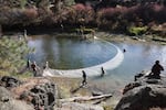 A group of people stand next or immersed in a large body of water, dragging a net that extends from one bank of the river to the other