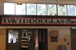 David Douglas High School has more than 3200 students from diverse backgrounds. A majority of students are ethnic minorities, with more Latino and Asian students than African-American students.