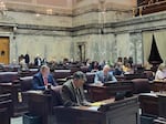 The Washington State Senate approved House Bill 1296 Friday, April 11, 2025, after a lengthy debate.