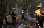 Constantin Zherebnenkob, center, puts out hotspots from the Grasshopper Fire with his crew from Santa Rosa, Calif. 