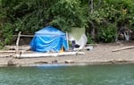 Three tents on a river beach, tucked among trees.