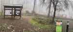 The ice storm caused a number of trees to fall and branches to break in Eugene's parks, especially in undeveloped areas like the Ridgeline trail.