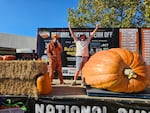 Jim Sherwood won the National Pumpkin Weigh Off in California in September with a pumpkin weighing 2,453 pounds.