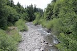 Lookout Creek in Oregon's H.J. Andrews Experimental Forest.