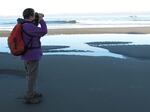 Diane Bilderback on her black oystercatcher monitoring route in Bandon, Ore.