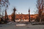 The foundation of a destroyed home is seen on Jan. 15, 2025 in Altadena, Calif. “It's just so typical of what we see from Russia, [to] take advantage of an ongoing crisis for their own ends,” said Darren Linvill, a communications professor and co-director of Clemson University's Media Forensics Hub.