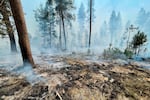 Charred ground smolders as smoke drifts across a forested landscape.