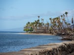 Using coastal mapping, Maui's new rules for sea level rise will prohibit development on land that's likely to flood in the future.