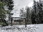 The snow felled seven trees along the driveway of the Tired Dog Ranch.