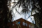 This photo shows a crisscrossing of tree branches against a blue sky. In the background is a top corner of a boxlike building.