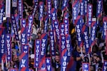 In this file photo from the Democratic National Convention in Chicago on Aug. 20, 2024, delegates and guests wave signs that say "Vote." On Saturday, the DNC's voting members will elect a new party chair to usher in the future of the Democratic Party.