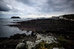 A man takes a morning stroll along the rocky coastline of Seogwipo, the second-largest city on Jeju Island, on Feb. 23, 2023.