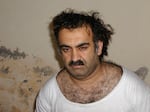 Khalid Sheikh Mohammed, the alleged 9/11 mastermind, is seen shortly after his capture during a raid in Pakistan in March 2003 in this photo obtained by The Associated Press. The man accused of being the main plotter in al-Qaeda's Sept. 11, 2001 attacks has agreed to plead guilty, The Defense Department said Wednesday.