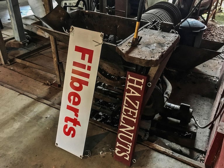 You say "filberts"; I say "hazelnuts." Both signs hang near Loughridge Nut Farm's roadside entrance: "Filberts" for traditionalists and "hazelnuts" for folks who don't know the difference.