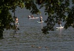 People paddleboard on the Willamette River in West Linn, Ore. on June 13, 2026.