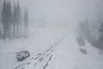 Thick falling snow makes the air appear hazy, while snow that has already fallen blankets a road surrounded by pine or fir trees.