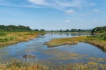 A small section of the Ridgefield National Wildlife Refuge in Ridgefield, Wash., on Aug. 19, 2026. Thousands of people have signed a petition opposing development in an open field next to the refuge.