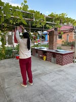 Lin Xin hangs a rag on a trellis next to an outdoor stove in her family’s yard in Yimianpo, China.