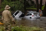 Search and rescue workers look through submerged vehicles.