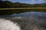 The Twin Lakes and Fish Creek — along with Lake Pend Oreille and Lake Coeur d'Alene — all empty their waters into the Spokane Valley-Rathdrum Prairie Aquifer. That’s the aquifer that runs generally west and quenches the thirst of the cities of Spokane and the Spokane Valley.