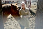 Anne Christmas feeds a horse at her homestead near Sisters.