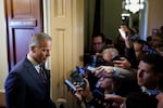 Senate Majority Leader John Thune, R-S.D., speaks to reporters while walking to his office on November 10, 2025 on Capitol Hill.