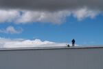A worker prepares the roof of a potato shed at Walker Brothers for the installation of solar panels. 