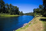 Springfield Utility Board has been working for years to secure an additional source of drinking water. State funds will help them to create an intake station on the banks of the McKenzie River in the Thurston area.