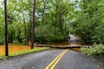 A downed tree is seen along Margret Mitchell Drive in the Buckhead area of Atlanta on Friday.