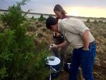 Lee Foster, with the Oregon Department of Fish and Wildlife, places a mosquito lure inside a trap. Mosquitoes can transmit West Nile virus to sage grouse, with deadly consequences.