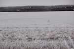 A center pivot in a field covered with a layer of hoarfrost at a farm near Crane, Ore., Jan 22, 2026.
